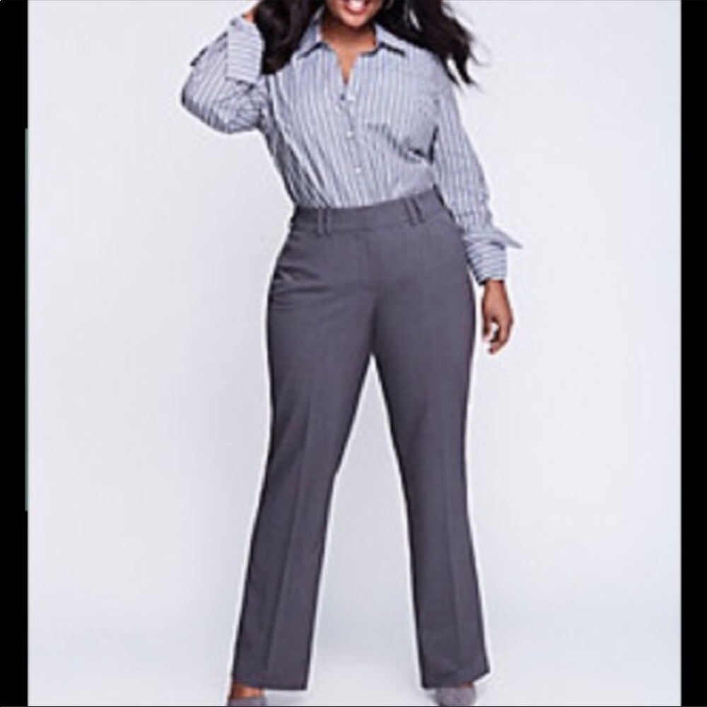 Work Career Pants (LR2)